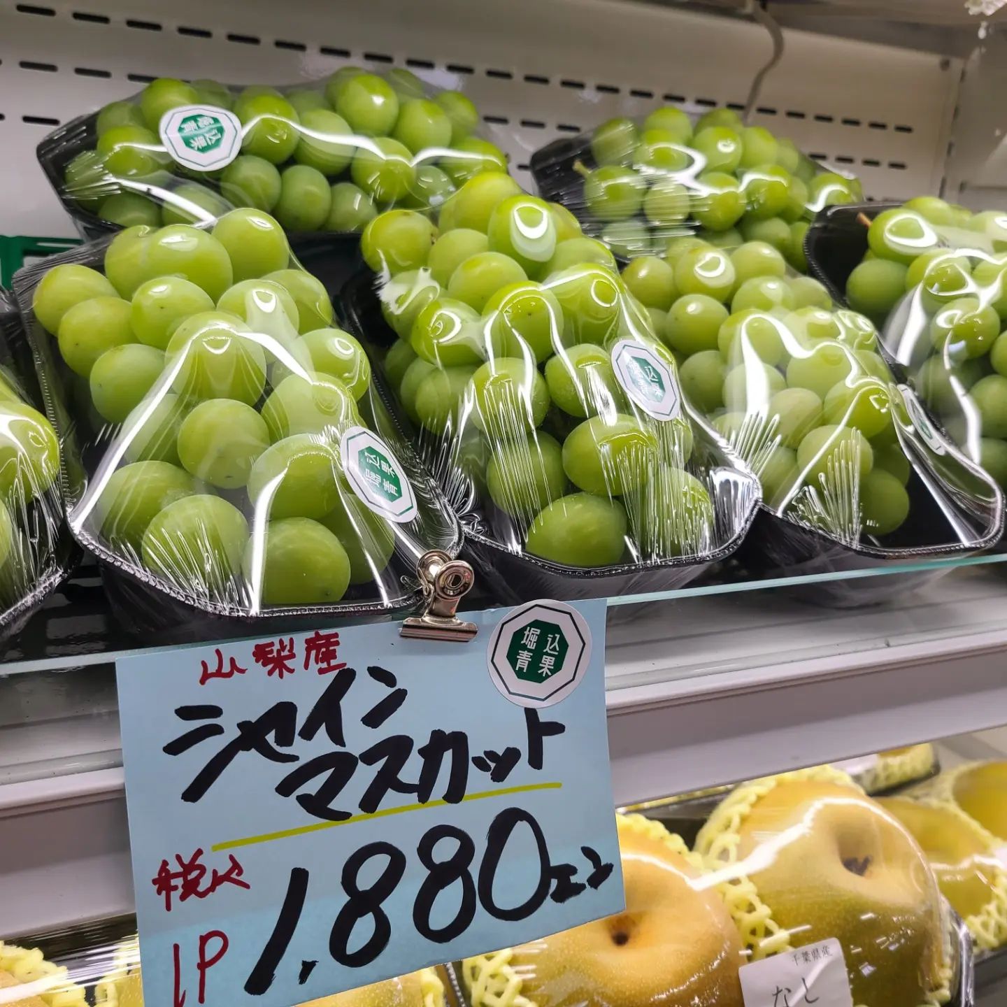 おはようございます 8 13 土 11 00 17 00 本日大玉すいか 500円引きで販売しております 今日は盆入りです 供物用の果物各種販売しております 供物の包装も承っておりますのでお気軽にスタッフにお声がけ下さい 今日も1日よろしくお願いします 堀込青果 おはようございます 8 13 土 11 00 17 00 本日大玉すいか 500円引きで販売しております 今日は盆入りです 供物用の果物各種販売しております 供物の包装も承っておりますのでお気軽にスタッフにお声がけ下さい 今日も1日よろしくお願いします 堀込青果