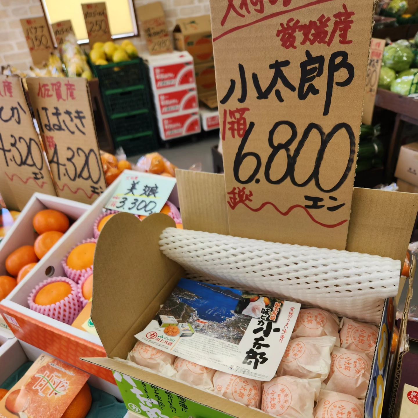こんにちは 1/25(木)本日のお値段紹介 今年も入りました高級みかん 
