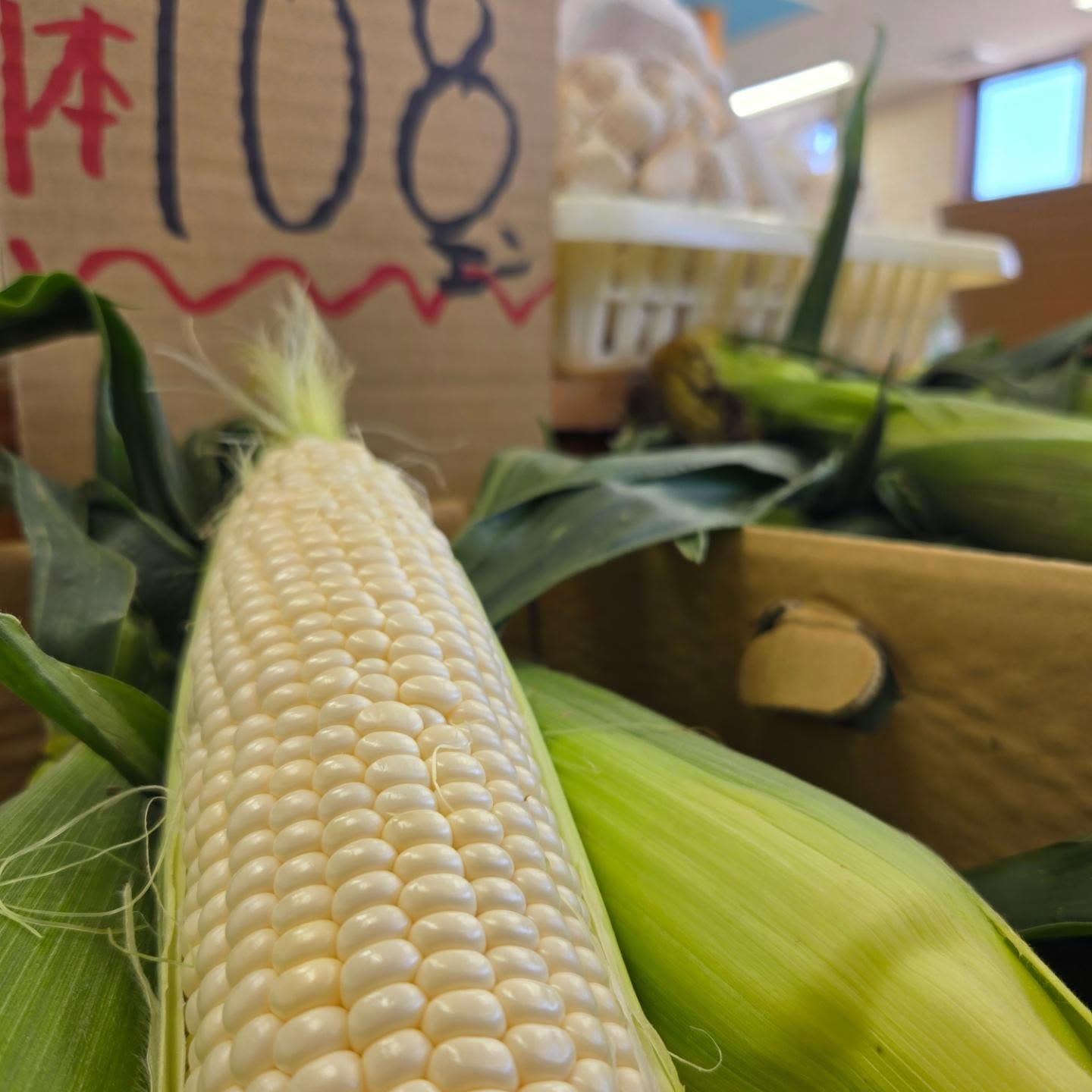 こんにちは

7/22(月)
11:00~18:30

入荷情報!!

あま～いピュアホワイト再入荷です!!

山梨産の貴陽入りました!!
やっぱり山梨産はひと味違いますね

沖縄マンゴー最終になります食べたい人はお早めに
お電話にて取り置きもできます!!

アールスメロン
贈答品にぴったりです　

長野産　ワッサー
ももとネクタリンの自然交配でできた品種です!!
ももの甘さとネクタリンの酸味を持ち合わせてた商品です

長崎産
パッションフルーツ
香りが最高ですよ～
ヨーグルトに入れて食べると南国気分になっちゃいます

今日も1日よろしくお願いいたします