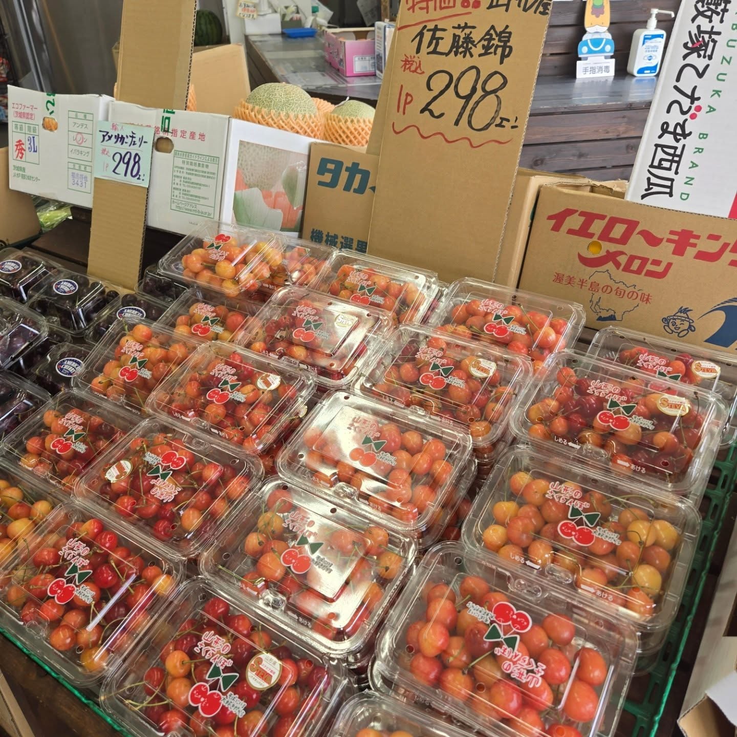 こんにちは

本日トマトとさくらんぼがお安くなっております!!

今日も1日よろしくお願いいたします