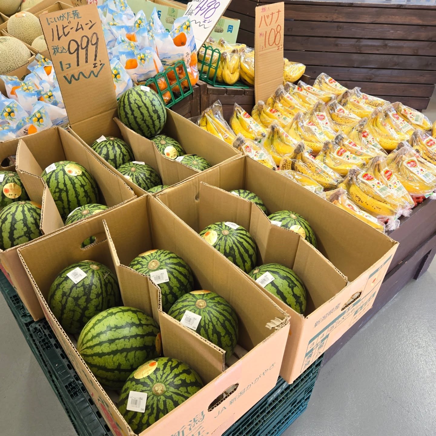 7/30(水)本日のお値段紹介!!

今日も1日よろしくお願いいたします