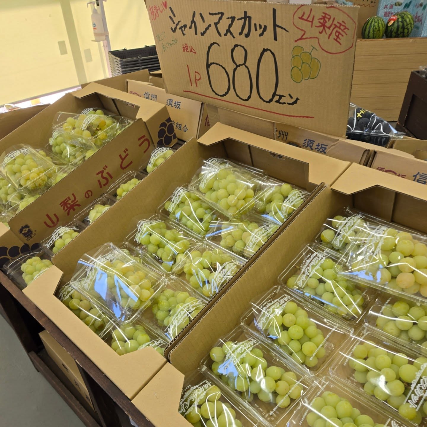 8/30(土)

本日のお値段紹介!!

本日のシャインマスカットがお買い得になっております

今日も1日よろしくお願いいたします

#