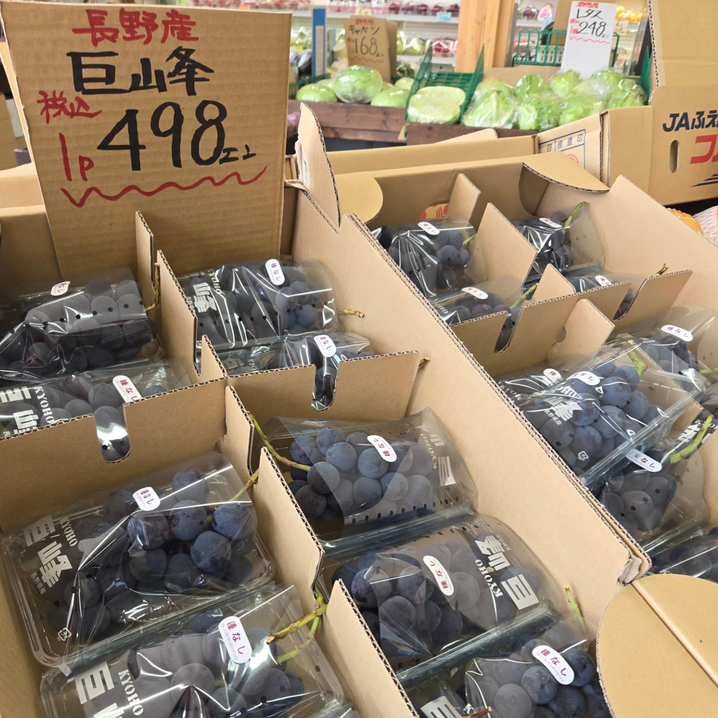 おはようございます

8/27(水)本日のお値段紹介!!

ぶどうがお買い得になっております

今日も1日よろしくお願いいたします