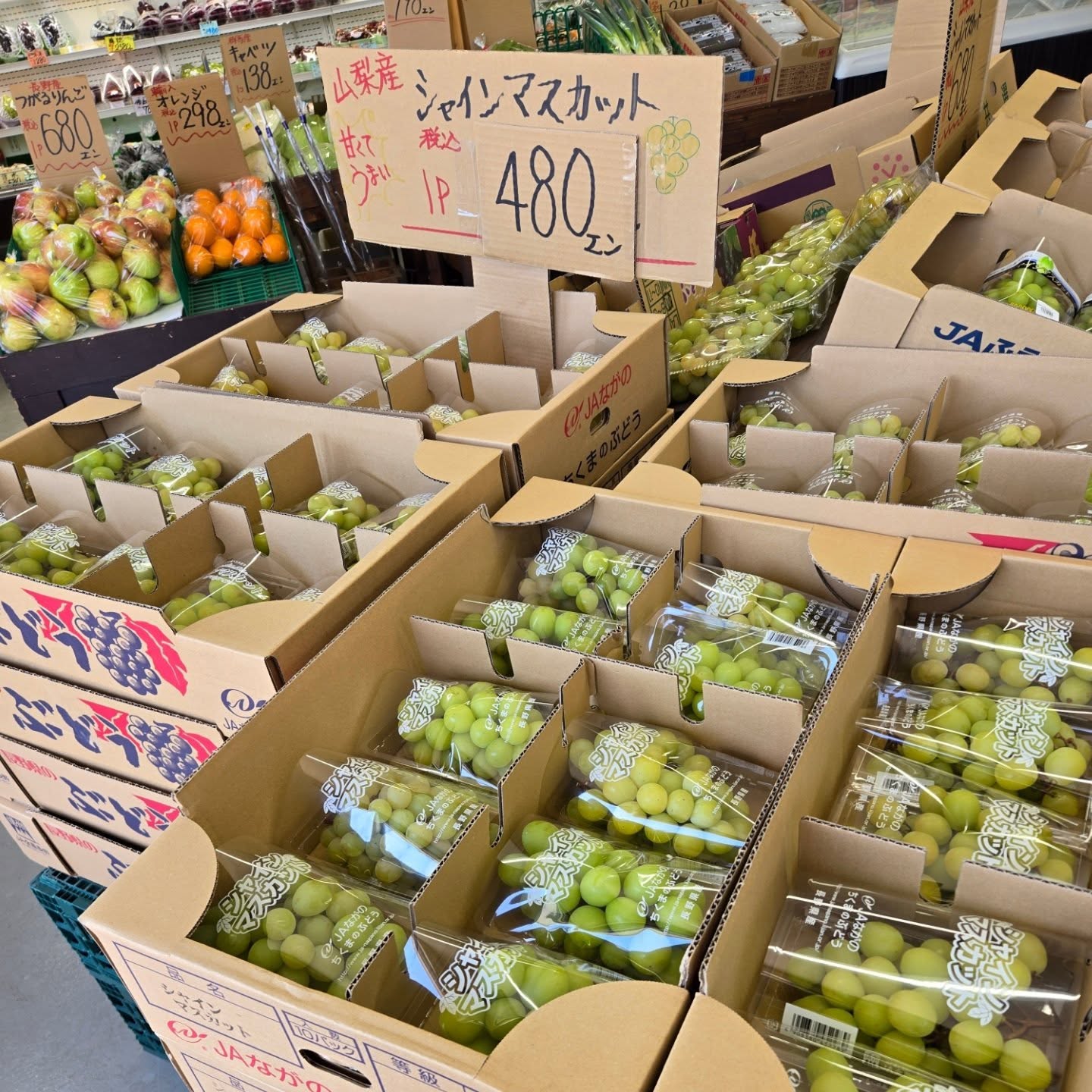 こんにちは

9/8(月)
本日のお値段紹介

シャインマスカットが大特価で税込480円になります!!

ももは残り黄金桃のみとなります!!
試食しましたが、甘くて美味しいです
おすすめ品です!!

お取り置きの方はお早めにご連絡をお願いします

今日も1日よろしくお願いいたします