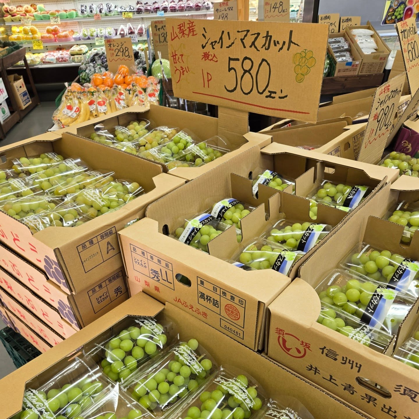 おはようございます

9/6(土)本日のお値段紹介!!

今日も1日よろしくお願いいたします
