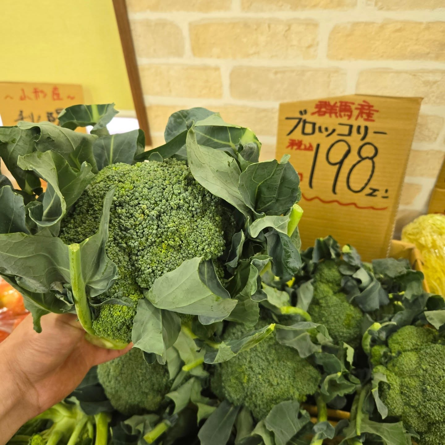 おはようございます

10/7(火)
11:00~18:30
本日のお値段紹介

大きいブロッコリーが本日お買い得です🥦

今日も1日よろしくお願いいたします