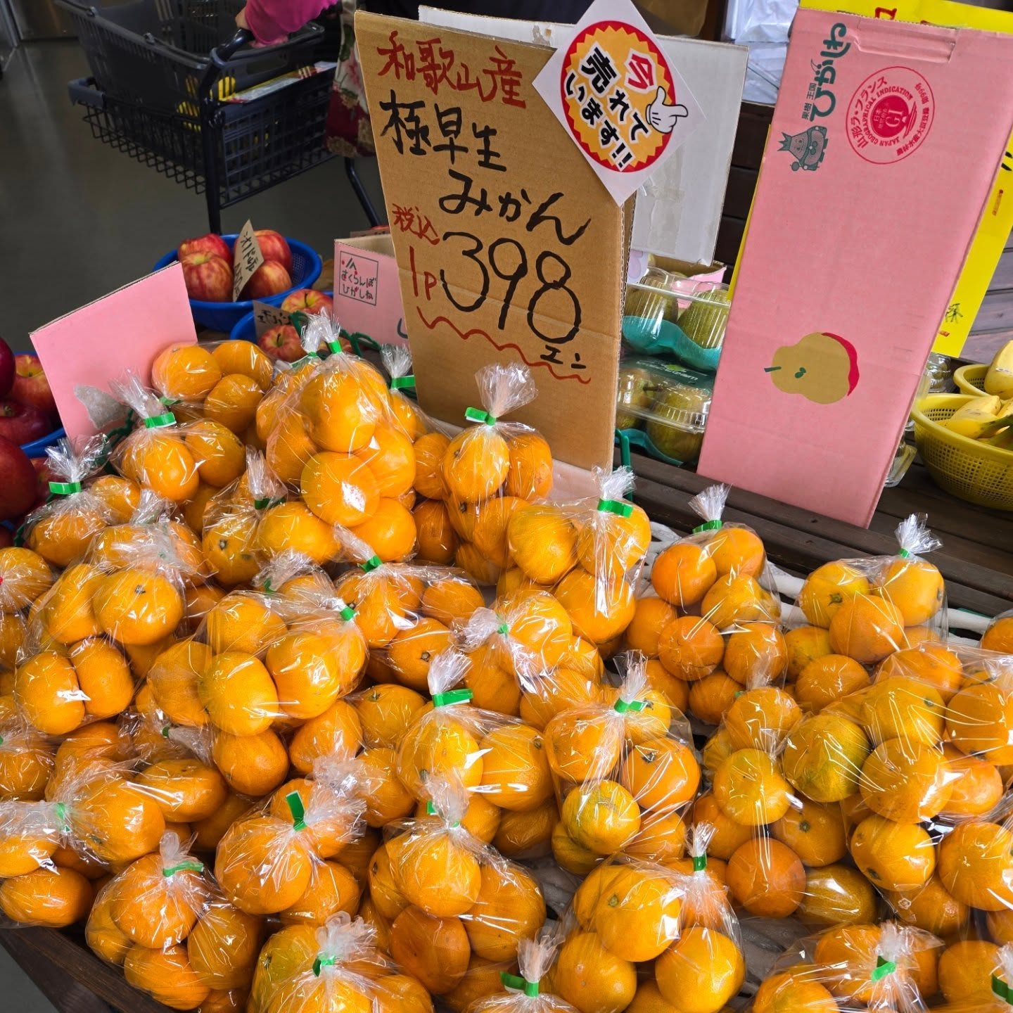おはようございます
11/6(木)
本日のお値段紹介
今年のみかんすごく美味しいです!!
Instagramを観ている皆さんにはお伝えしますが、店頭に並んでいる袋詰め中でも一番小さいサイズが味が濃く美味しいです
りんごも沢山入荷しております
みんな大好きな「サンふじ」が入荷しました!!
いろいろな品種を販売していますのでスタッフに味の特徴などお気軽にお声がけください!!
今日も1日よろしくお願いいたします