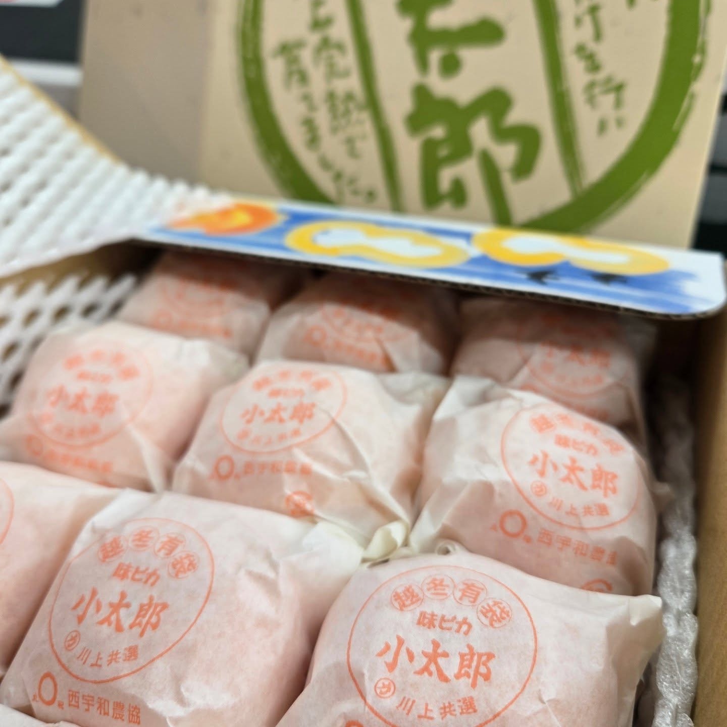 おはようございます

1/26(月)

本日の入荷情報&お値段紹介

高級みかん入りました!!

愛媛産｢味ピカ小太郎｣
1箱　税込7800円

愛媛県産の小太郎みかんは
一個一個大事に袋をかけて
栽培された樹上完熟の蜜柑です。

通常11月〜12月にかけて収穫
される温州みかん（宮川早生）
の中で、特に品質の良い物を樹に
残して袋を掛けて越冬させます。

じょうのう（内皮）が薄く、とろける
ような果肉が特徴で糖度は13度
以上の選果で上品な甘さがあります！

贈答品や自分へのご褒美にどうでしょうか？

今日も1日よろしくお願いいたします