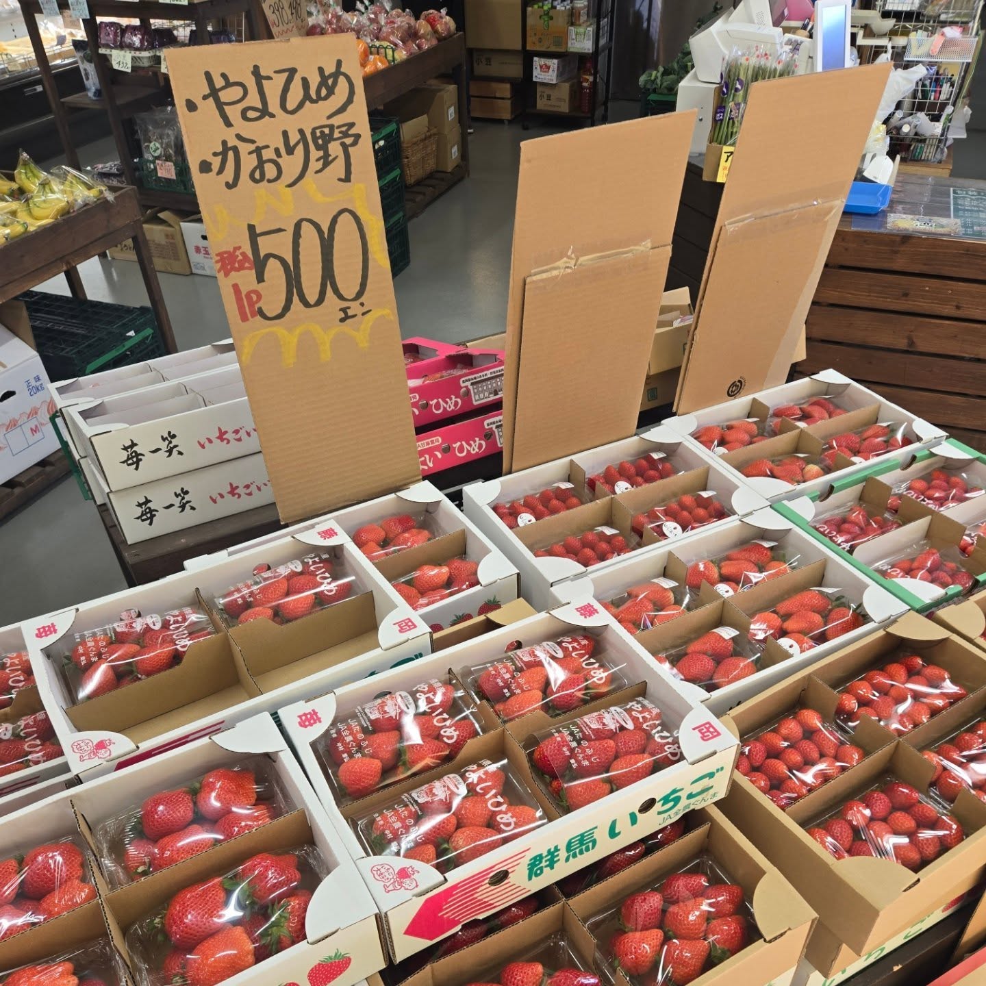 おはようございます

2/28(土)本日のお値段紹介!!

今日もいちごが安いです!!

１パック500円ワインコインになります
あまりんも入荷しました

ブロッコリーは昨日に続き100円こちらもワンコインになります🥦

今日も1日よろしくお願いいたします