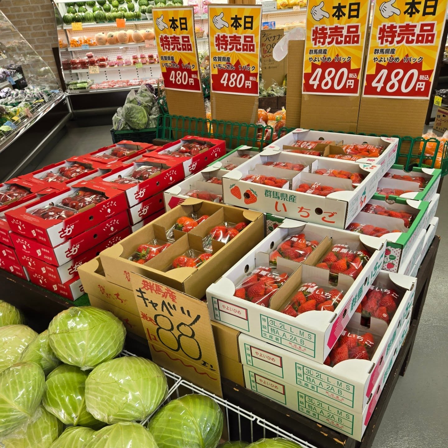 おはようございます

3/27(金)

本日のお値段紹介

今日はやよいひめ・いちごさん1パック税込480円

キャベツは昨日続き1玉税込88円驚きの安さです

果物はなつみ・宮崎マンゴー・パッションフルーツが初入荷しております!!

今日も1日よろしくお願いいたします