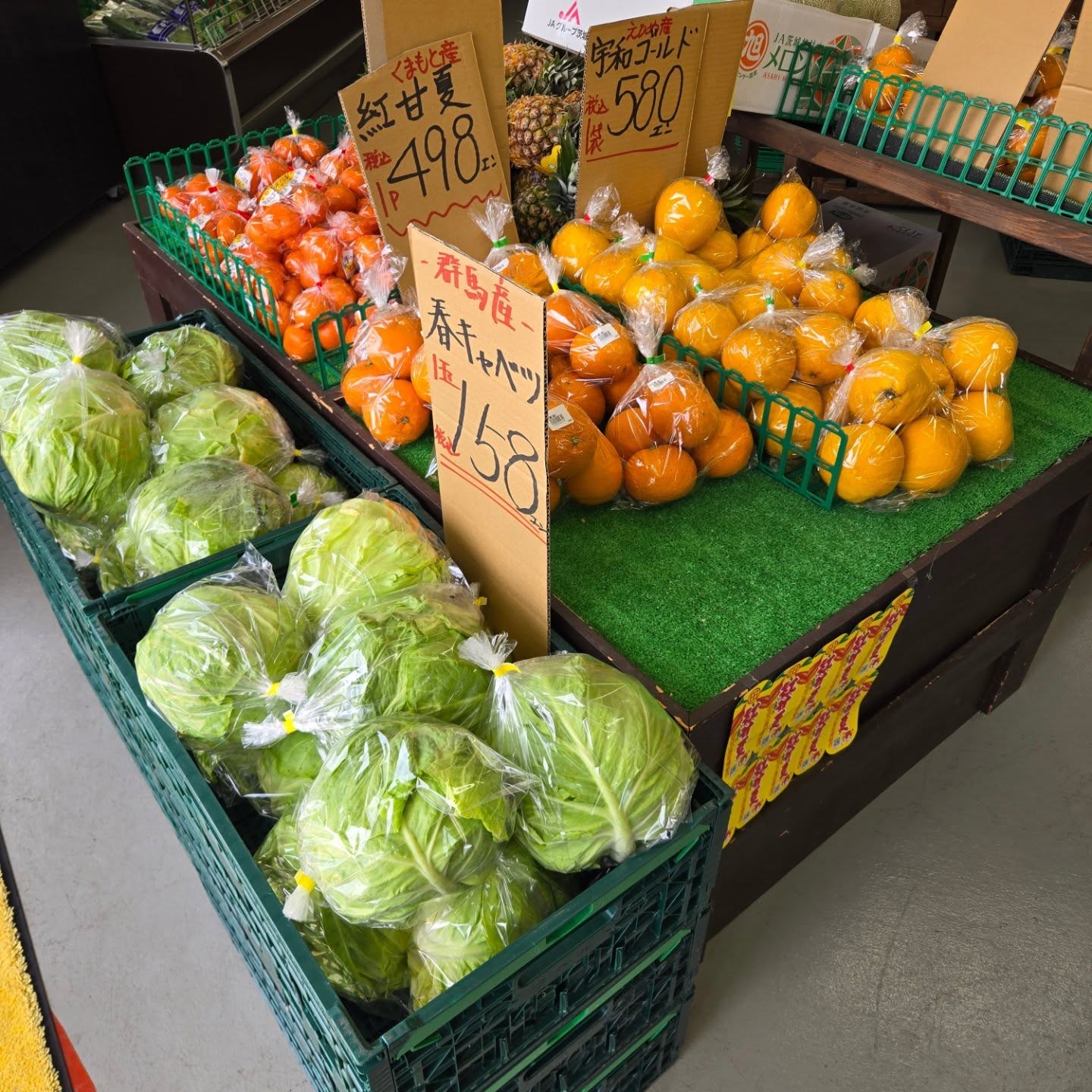 おはようございます

4/28(火)

本日のお値段紹介

今日も1日よろしくお願いいたします