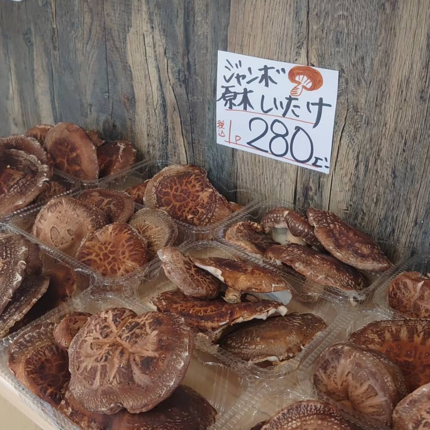 おはようございます

4/3(金)

本日のお値段紹介