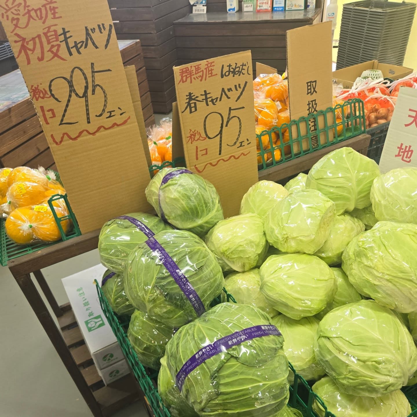 5/13(水)

本日のお値段紹介

今日ははねだし春キャベツがお買得品です!!

ほうれん草108円
長ネギ３本入　108円

その他にもお買得商品がたくさんあります!!

今日も1日よろしくお願いいたします