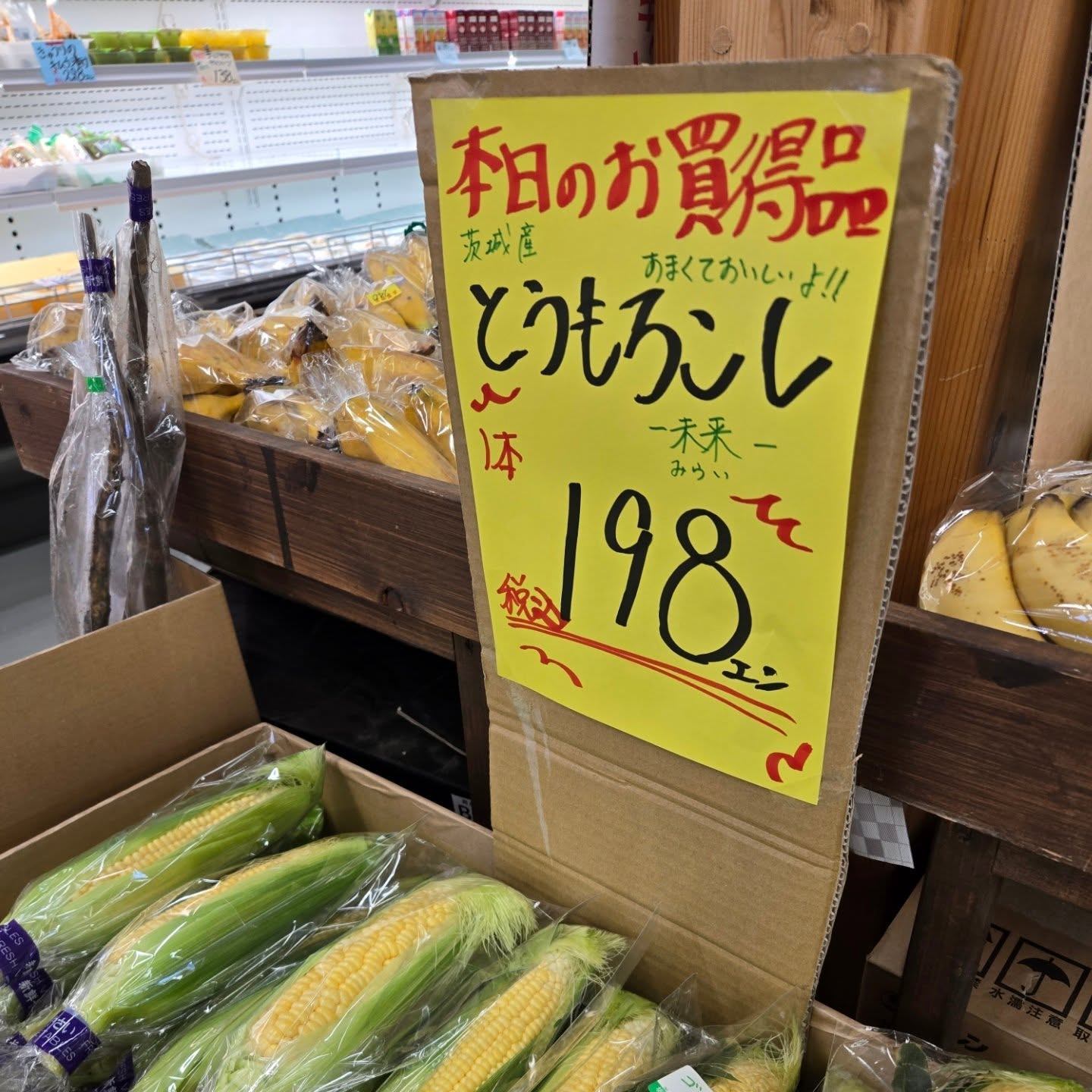 おはようございます

5/29(金)

本日のお値段紹介

本日のとうもろこしがお買得品です!!

連日売り切れの梅も再入荷しました
お取り置きもできますのでお電話にてお願いします。

今日も1日よろしくお願いいたします