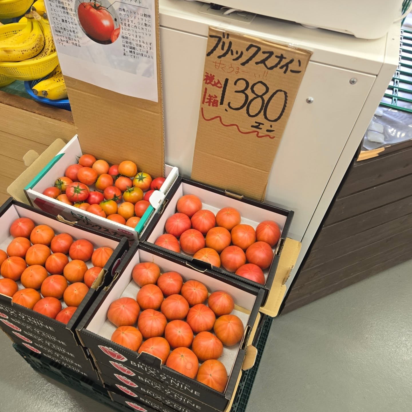 おはようございます

本日のお値段紹介

今日も1日よろしくお願いいたします