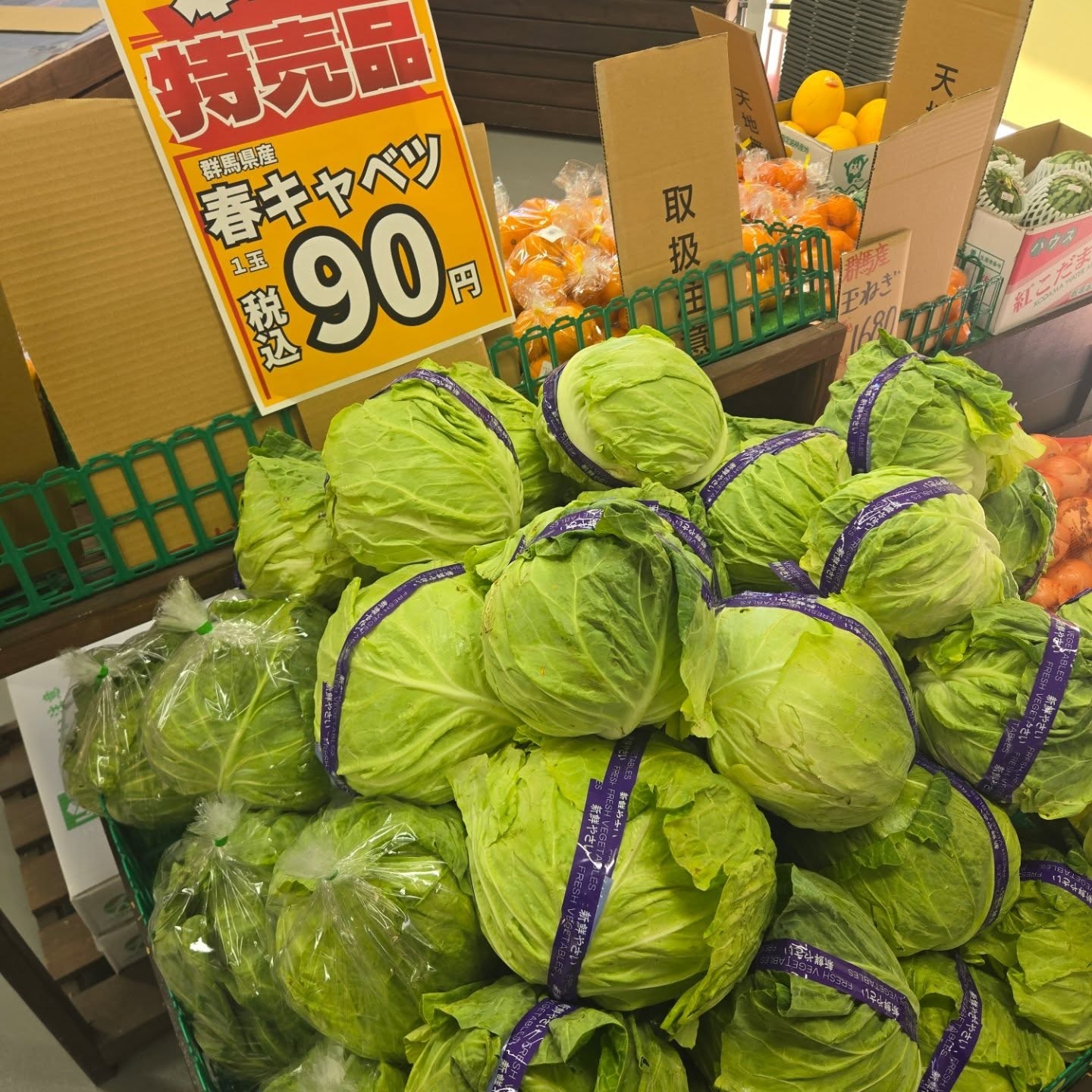 おはようございます

5/9(土)本日のお値段紹介

本日は春キャベツがお買得です!!

今日も1日よろしくお願いいたします