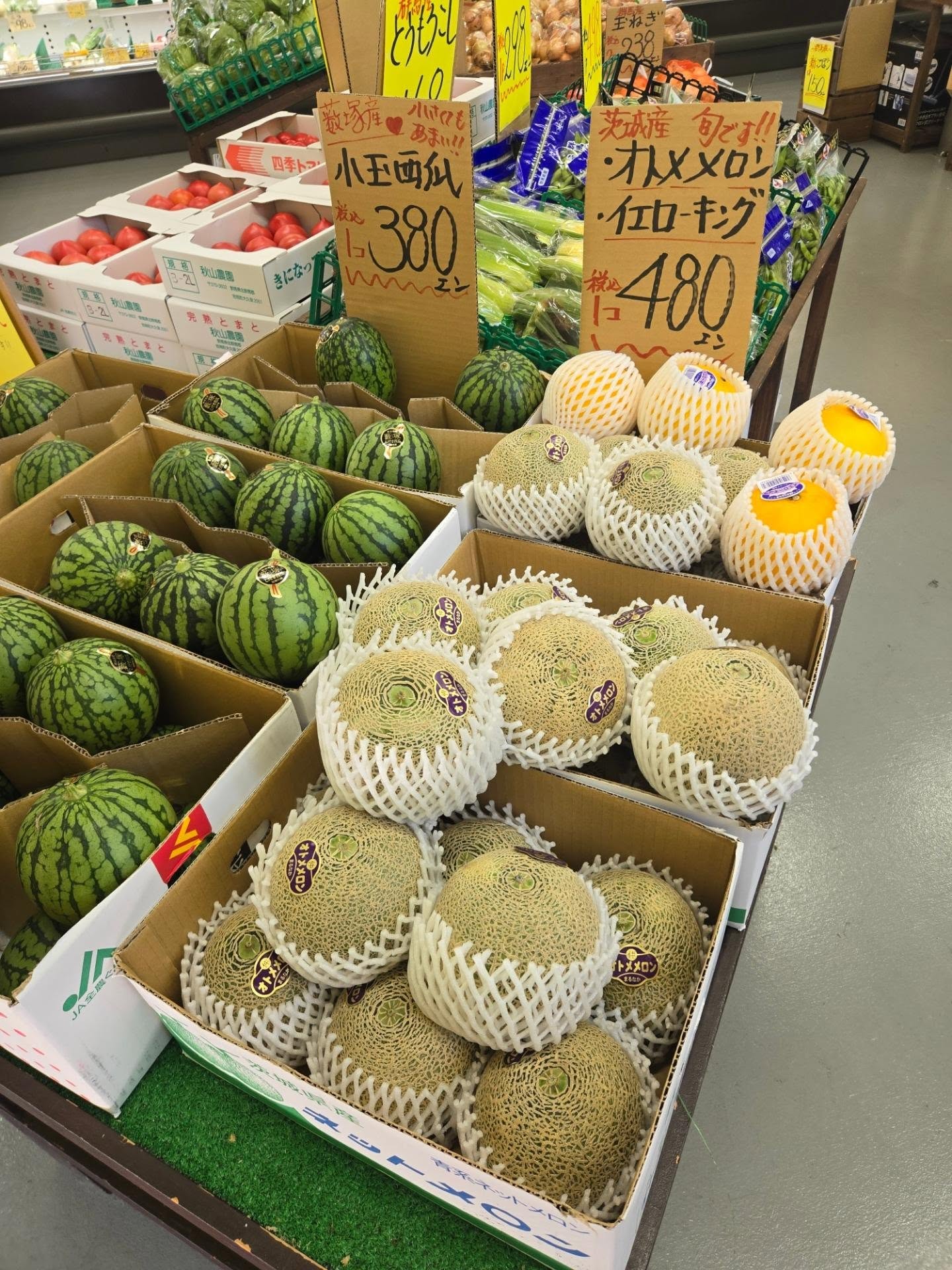 おはようございます

本日のお値段紹介

今日も1日よろしくお願いいたします