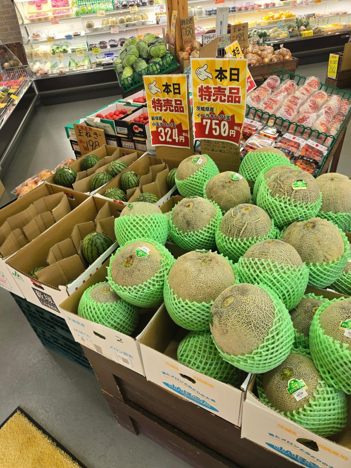 おはようございます

7/4(土)

本日のお値段紹介

今日も1日よろしくお願いいたします