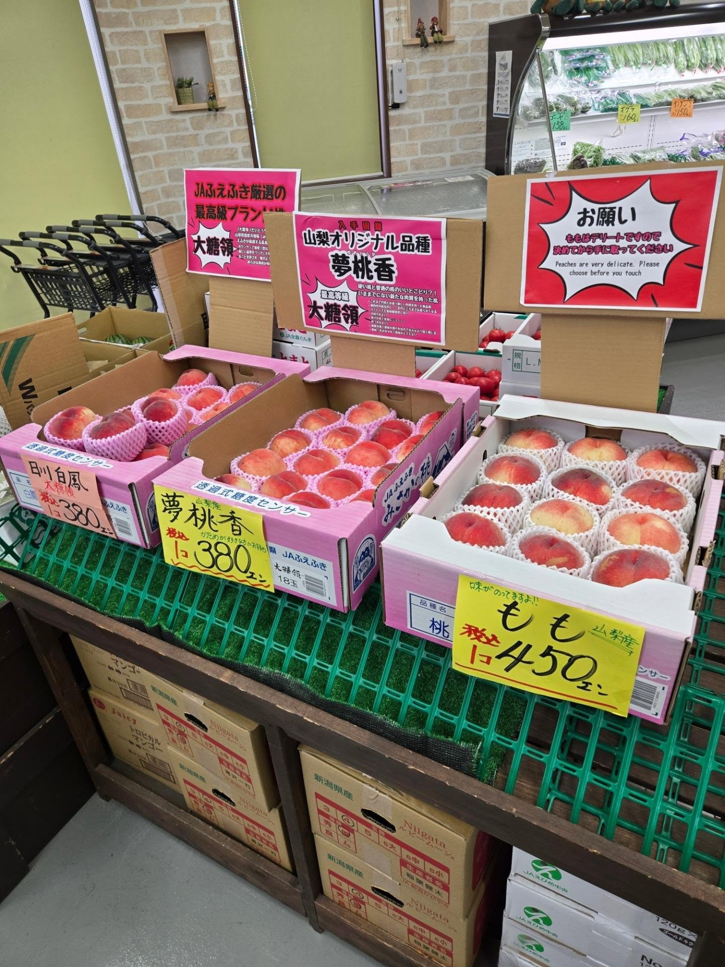 おはようございます!!

7/6(月)

本日のお値段紹介

今日はももがおすすめです
山梨オリジナル品種　夢桃香が入荷しました!!
まだ本格的に始まって４年目の新しい品種で市場に出るのも少ない希少な桃です!!
果肉も硬めですので硬めが好きな人はお早めにお願いいたします

もちろんお取り置きもできますのでお気軽にご連絡ください

☏0270-74-3252
