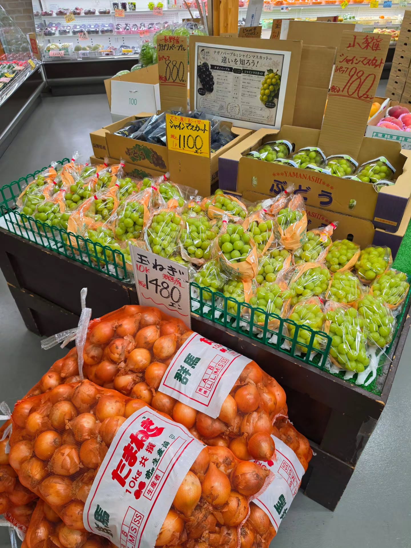 おはようございます!!

8/29(土)本日のお値段紹介

本日はお買得商品がたくさんあります

店頭が混み合うためお取り置きは出来ませんのでご注意ください。
今日も1日よろしくお願いいたします‍♂️