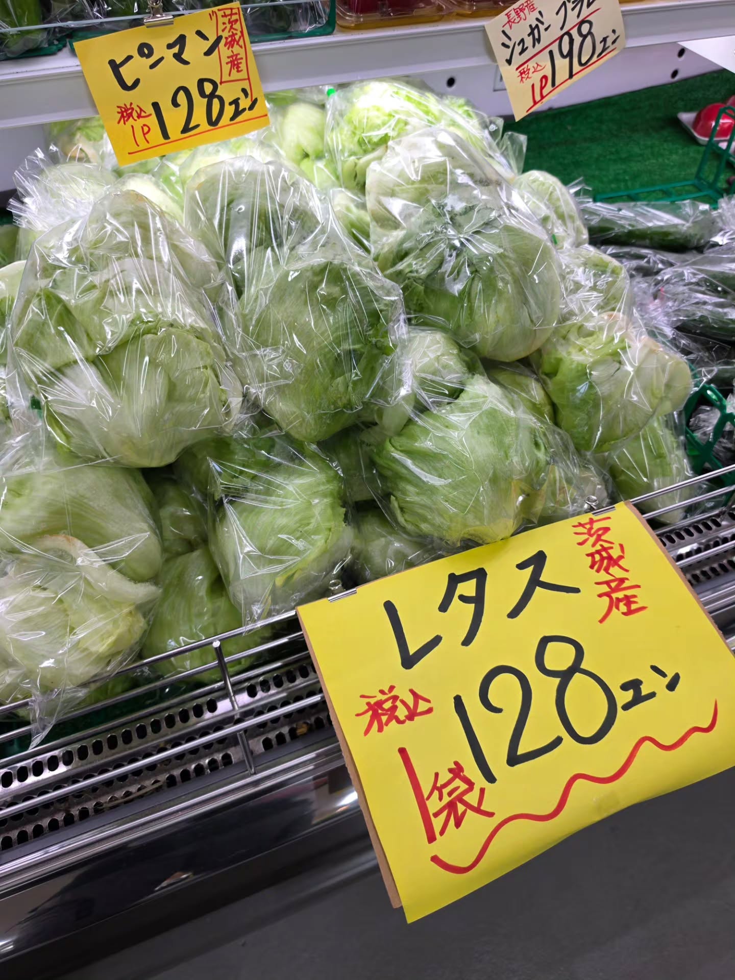 おはようございます!!

9/26(土)

本日のお値段紹介

本日はお買い得な商品が沢山ありますよ

そして、高級ぶどうの『富士の輝』入荷しました

今日も1日よろしくお願いいたします‍♂️